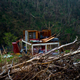 Image: AP